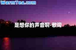 是想你的声音啊-歌词