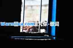 画个圈圈诅咒你-歌词