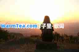 没有你的日子里-歌词