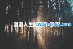 漫漫人生路歌词-歌词