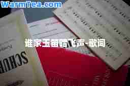 谁家玉笛暗飞声-歌词