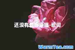 还没有爱够原唱-歌词