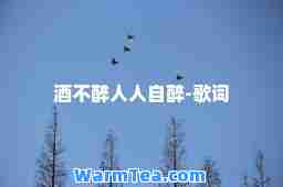 酒不醉人人自醉-歌词