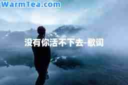 没有你活不下去-歌词