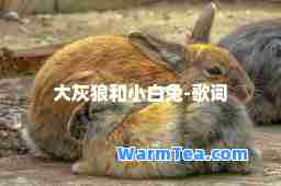 大灰狼和小白兔-歌词