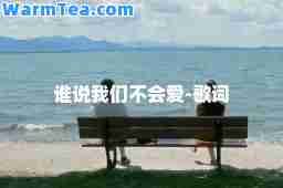 谁说我们不会爱-歌词
