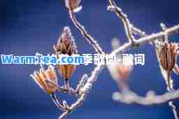 大约在冬季歌词-歌词
