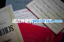 迟迟钟鼓初长夜-歌词