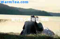 我只会心疼哥哥-歌词