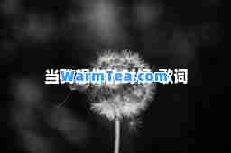 当我想你的时候-歌词
