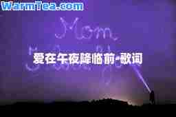 爱在午夜降临前-歌词