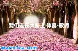 我们走在大路上 伴奏-歌词