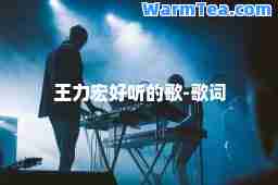 王力宏好听的歌-歌词