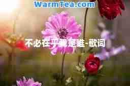 不必在乎我是谁-歌词