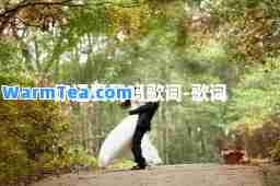 你还爱我吗歌词-歌词