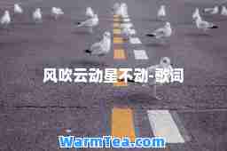 风吹云动星不动-歌词
