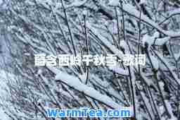 窗含西岭千秋雪-歌词