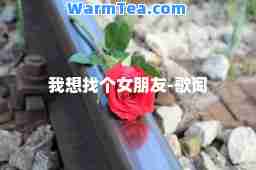 我想找个女朋友-歌词