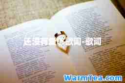 还没有爱够歌词-歌词