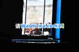 请你像我这样做-歌词