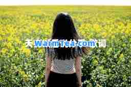 天亮以后说分手-歌词