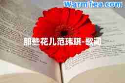 那些花儿范玮琪-歌词