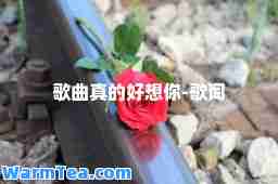歌曲真的好想你-歌词