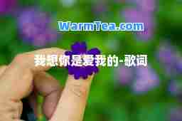 我想你是爱我的-歌词