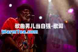 歌曲男儿当自强-歌词