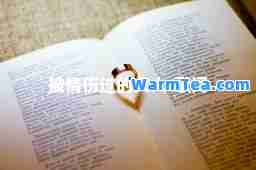 被情伤过的女人-歌词