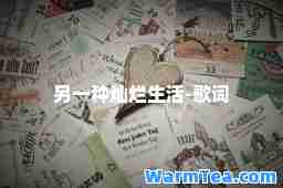另一种灿烂生活-歌词