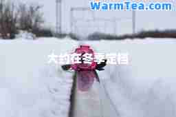 大约在冬季定档