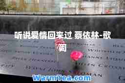 听说爱情回来过 蔡依林-歌词