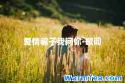 爱情骗子我问你-歌词