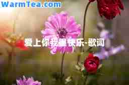爱上你我很快乐-歌词