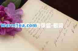 我爱你没有保留-歌词