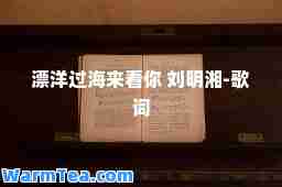漂洋过海来看你 刘明湘-歌词