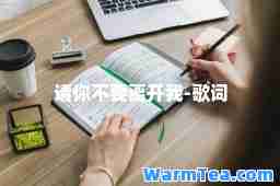 请你不要离开我-歌词