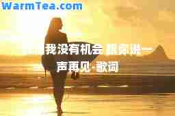 我怕我没会 跟你说一声再见-歌词