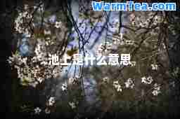 池上是什么意思
