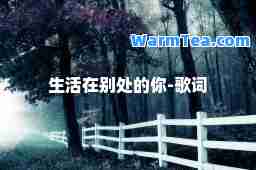 生活在别处的你-歌词