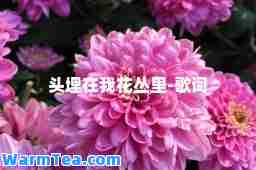 头埋在我花丛里-歌词