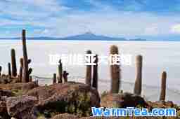 玻利维亚大使馆