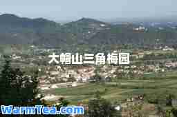 大帽山三角梅园