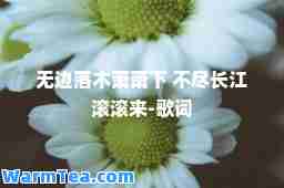 无边落木萧萧下 不尽长江滚滚来-歌词
