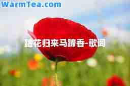 踏花归来马蹄香-歌词