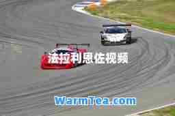 法拉利恩佐视频