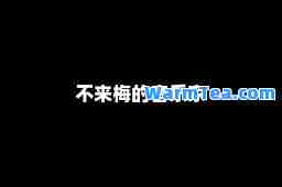 不来梅的音乐家