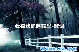 我喜欢你赵露思-歌词