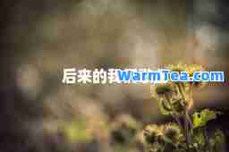 后来的我们歌曲
